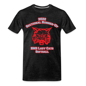 2022 BMS Softball Premium T-Shirt - charcoal grey